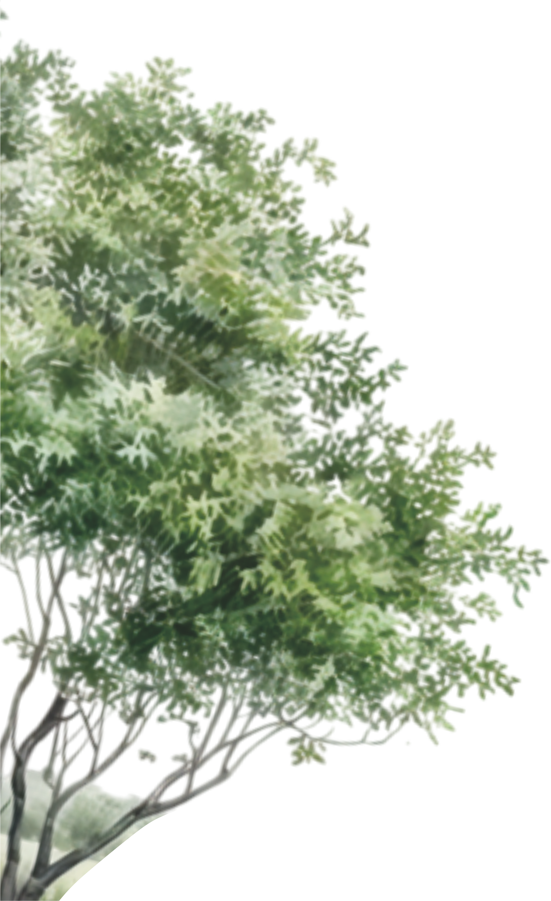 Tree 1