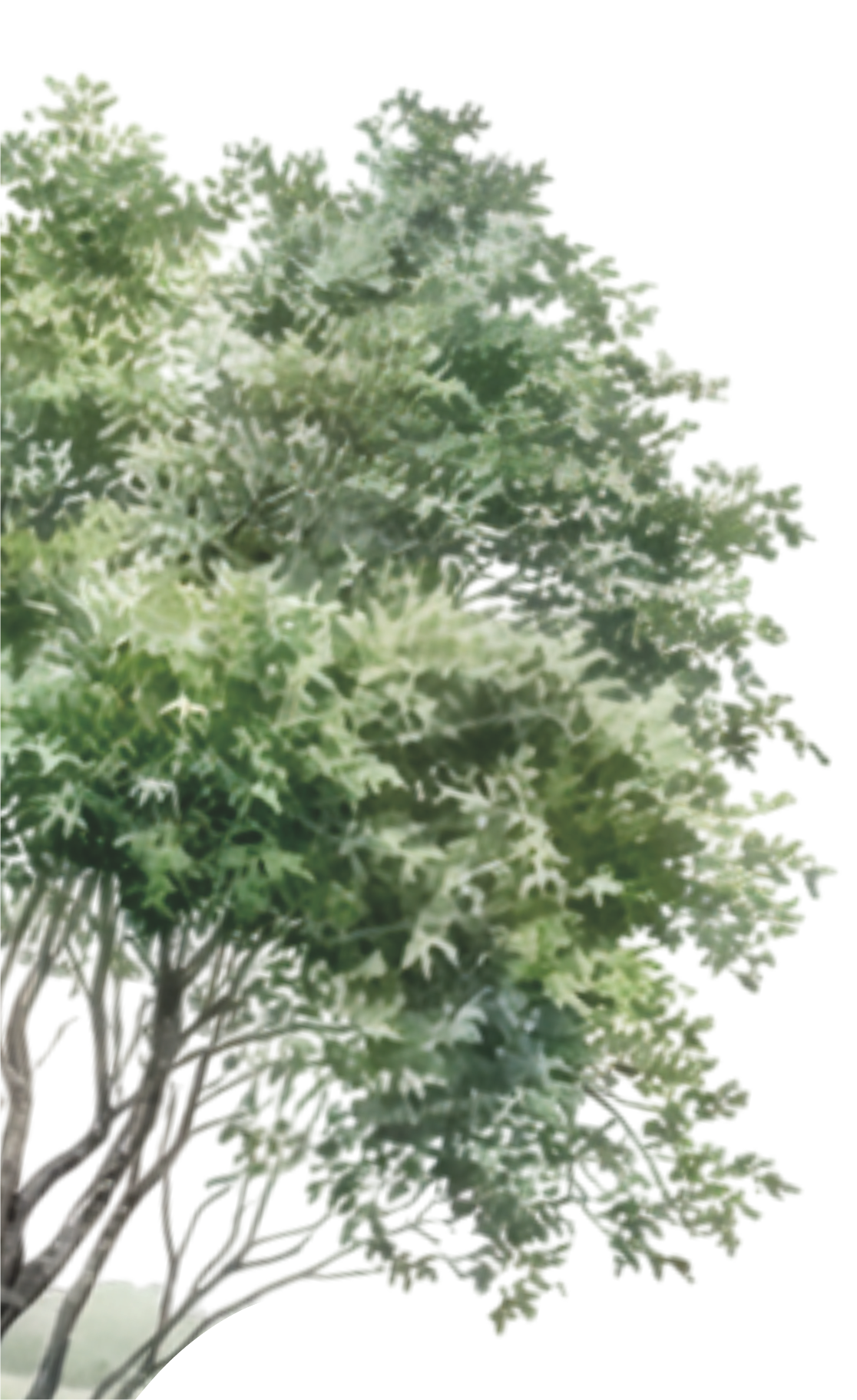 Tree Left
